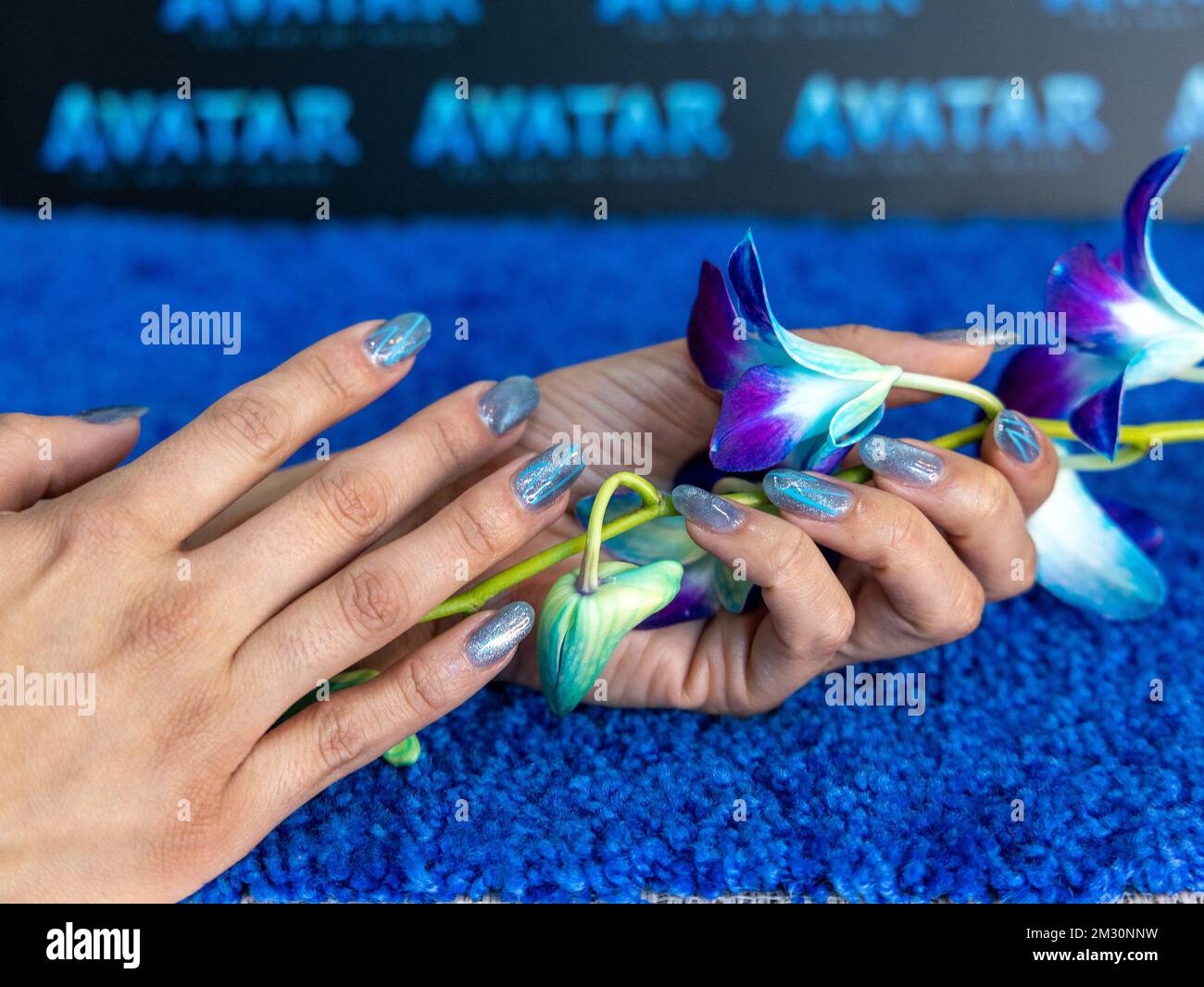 MIAMI, FLDEC 13 TV personality Jessica Rodriguez get the “Avatar” The