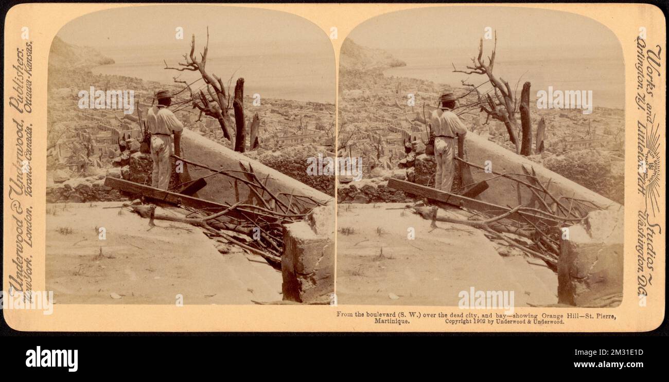 From the boulevard (S.W.) over the dead city, and bay showing Orange