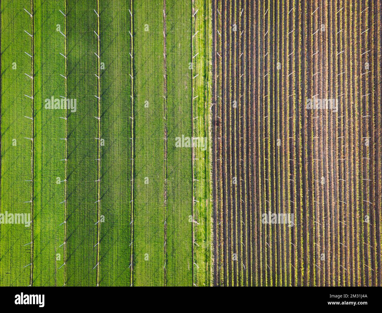 Aerial view agricultural field trees hires stock photography and