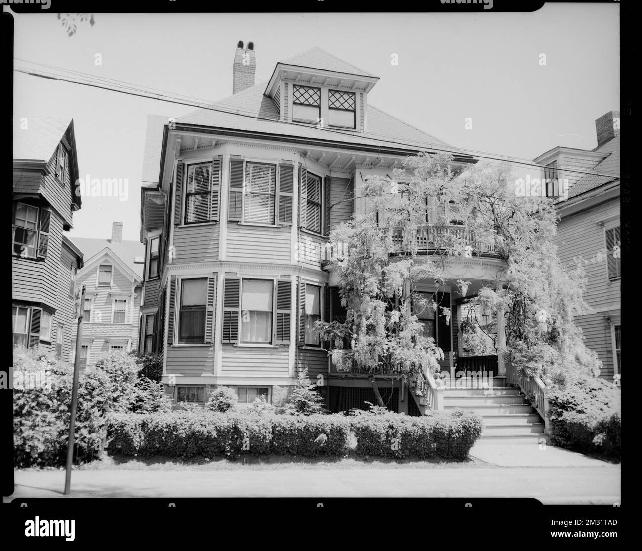 G. W. Billingham, wisteria flowers. 19 Eliot St., Jamaica Plain , Houses, Flowers. Leon Abdalian