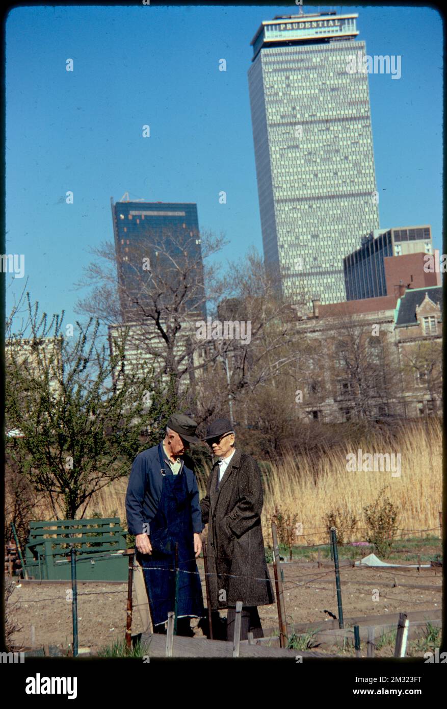 Gardens in the Fenway , Parks, Community gardens, Gardening