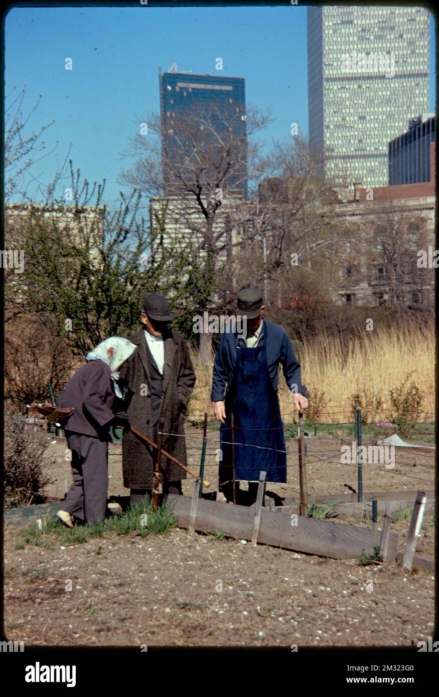 Gardens in the Fenway , Parks, Community gardens, Gardening
