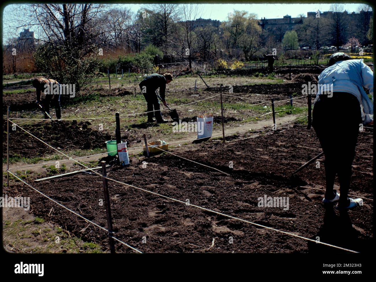 Gardens in the Fenway , Parks, Community gardens, Gardening