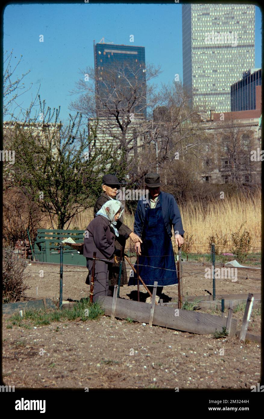 Gardens in the Fenway , Parks, Community gardens, Gardening