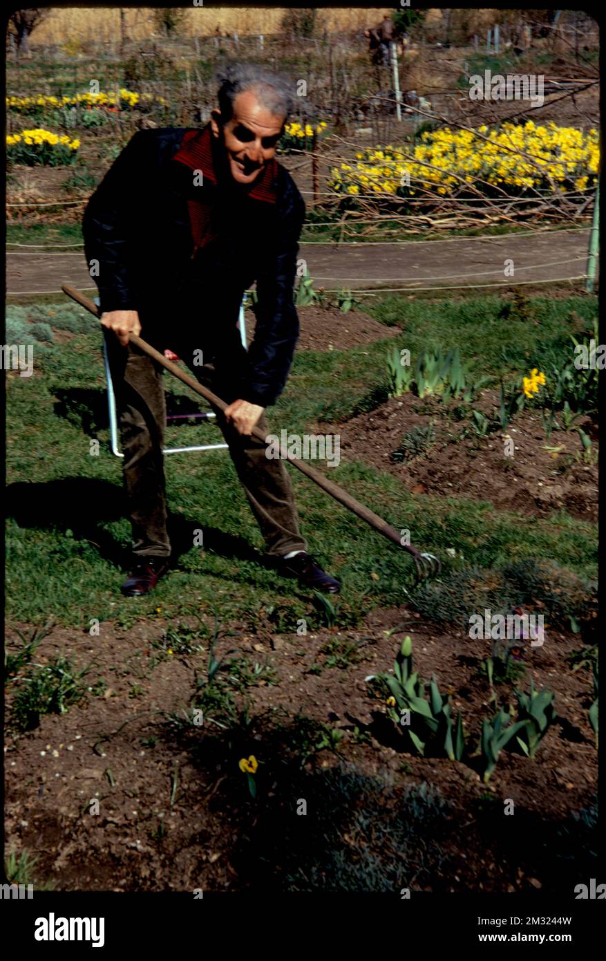 Gardens in the Fenway , Parks, Community gardens, Gardening