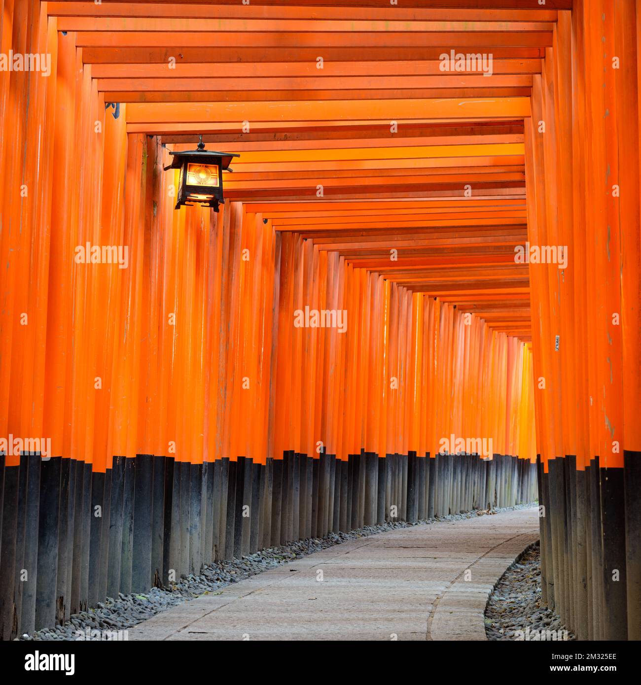 Fushimi Inari Taisha Shrine torii gates in Kyoto, Japan Stock Photo Alamy
