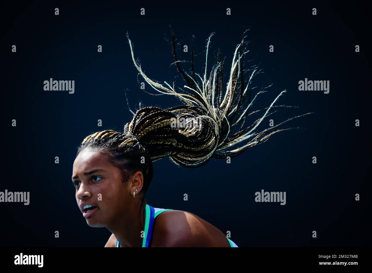 Robin montgomery hires stock photography and images Alamy