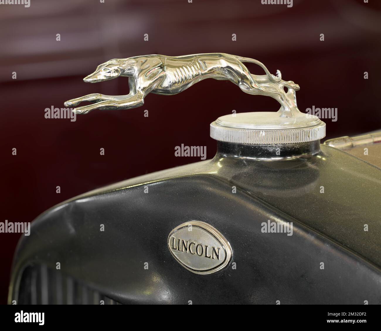 Antique vintage greyhound hood ornament on 1929 Lincoln Forder automobile Stock Photo