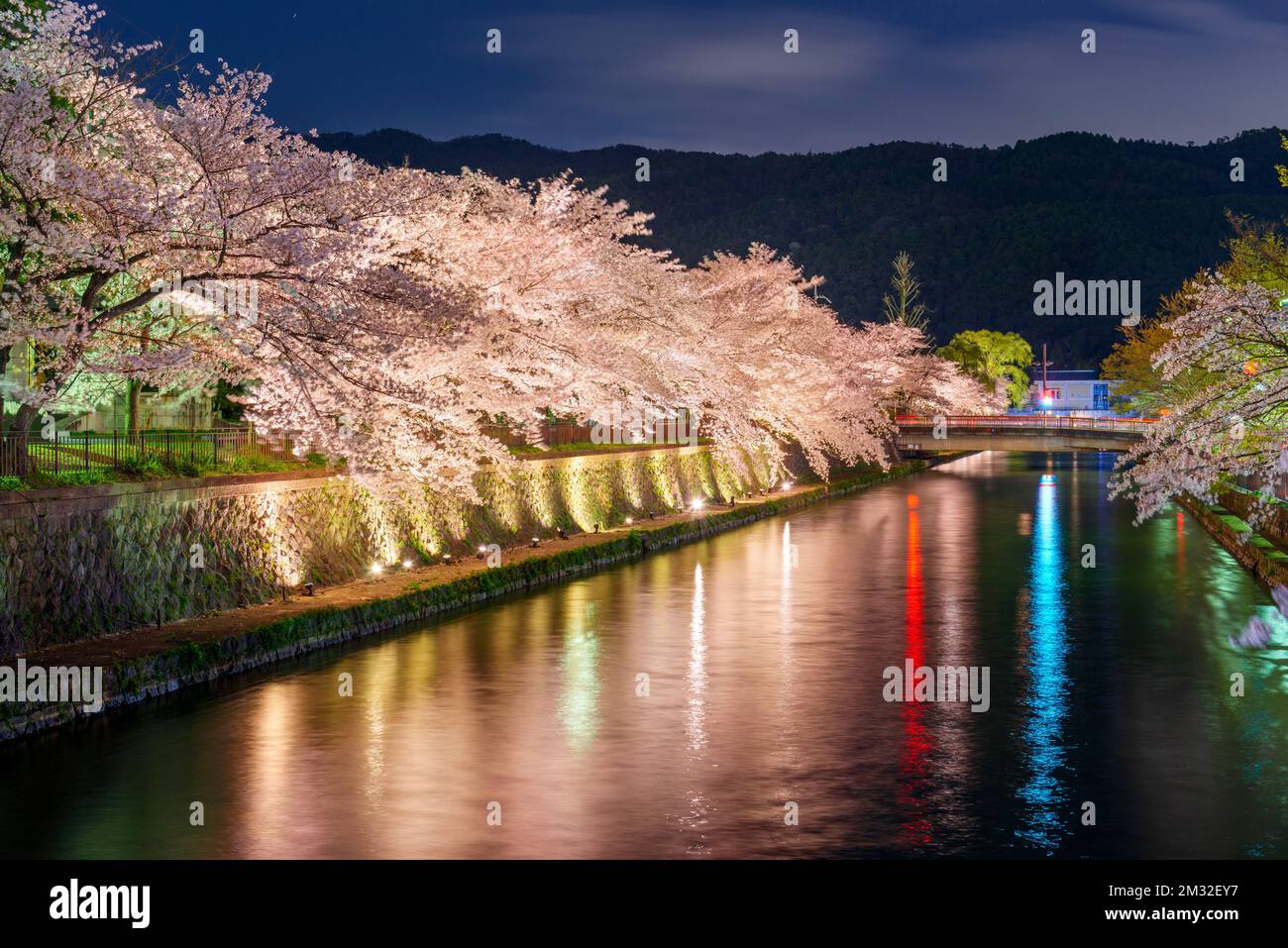 Cherry blossoms city street night japan hi-res stock photography