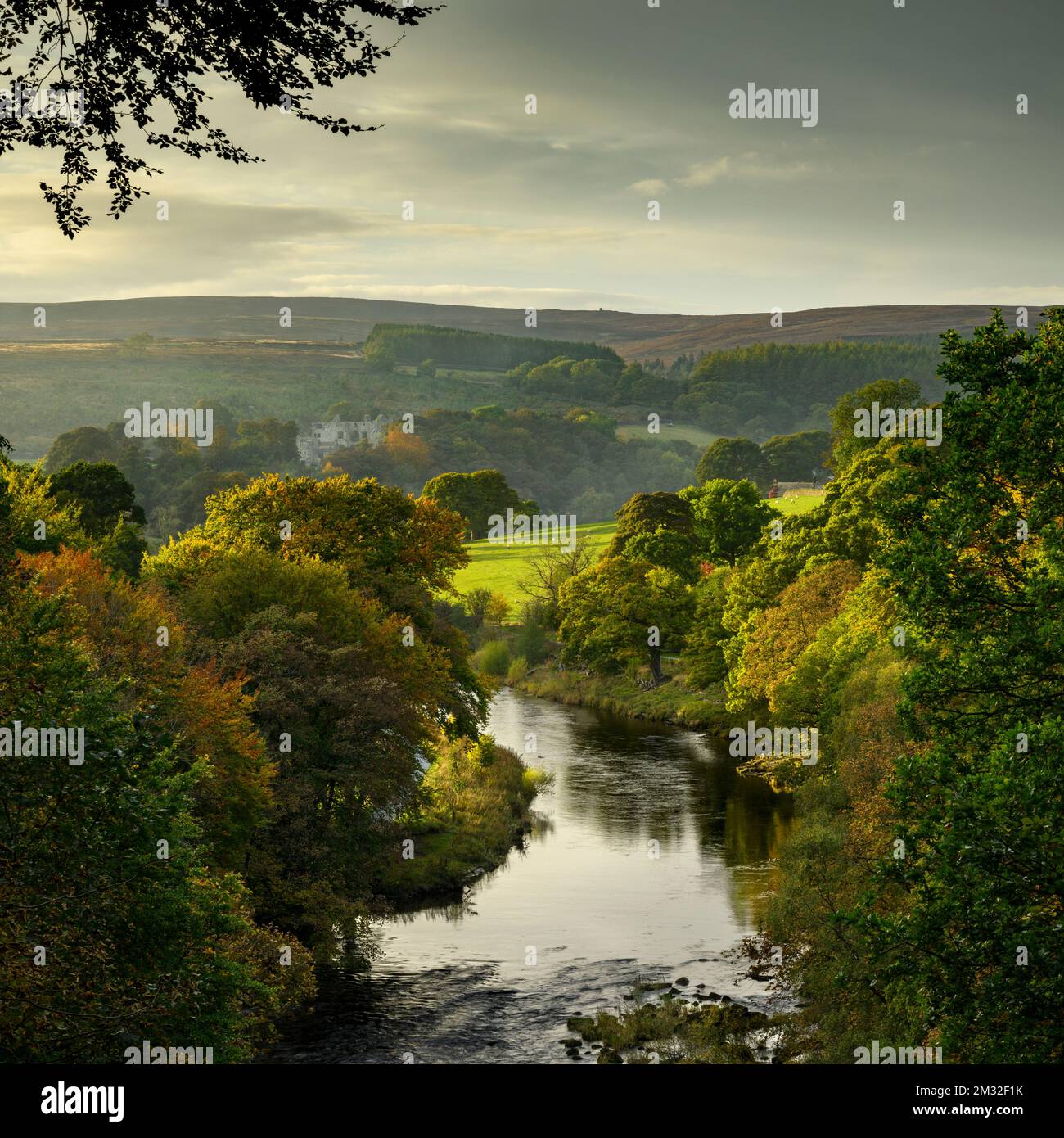 Autumn long-distance view upstream of River Wharfe, old historic Barden Tower ruins & evening sky - Bolton Abbey Estate, Yorkshire Dales, England, UK. Stock Photo