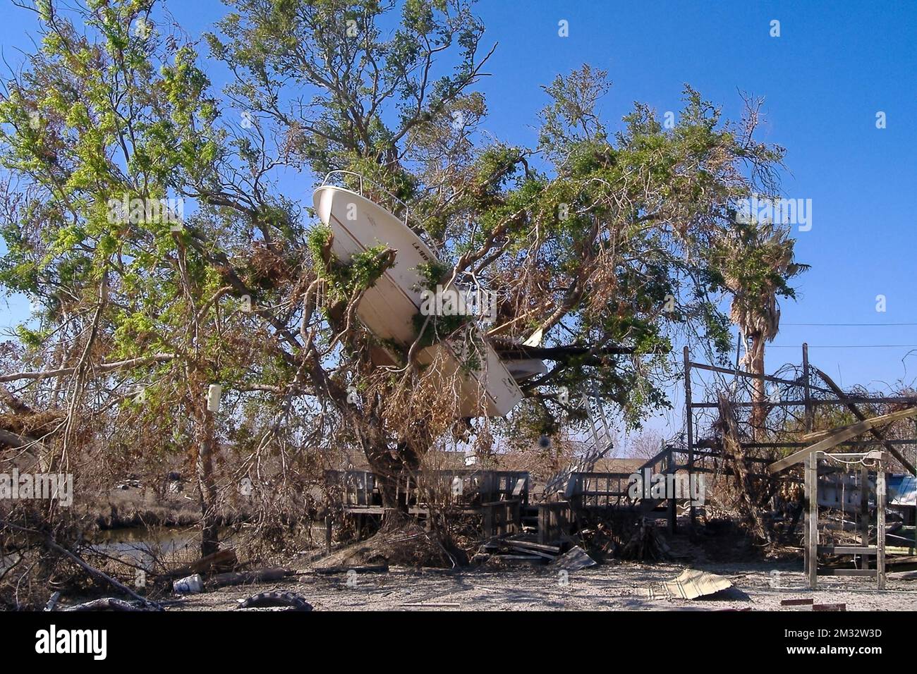 Boat stuck in the branches of a tree in the aftermath of Hurricane Katrina in Louisiana. (USA) Stock Photo