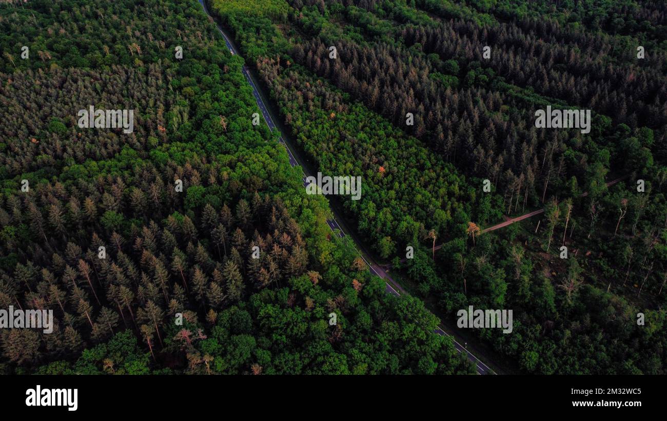 An aerial view of a highway surrounded with forest trees Stock Photo ...