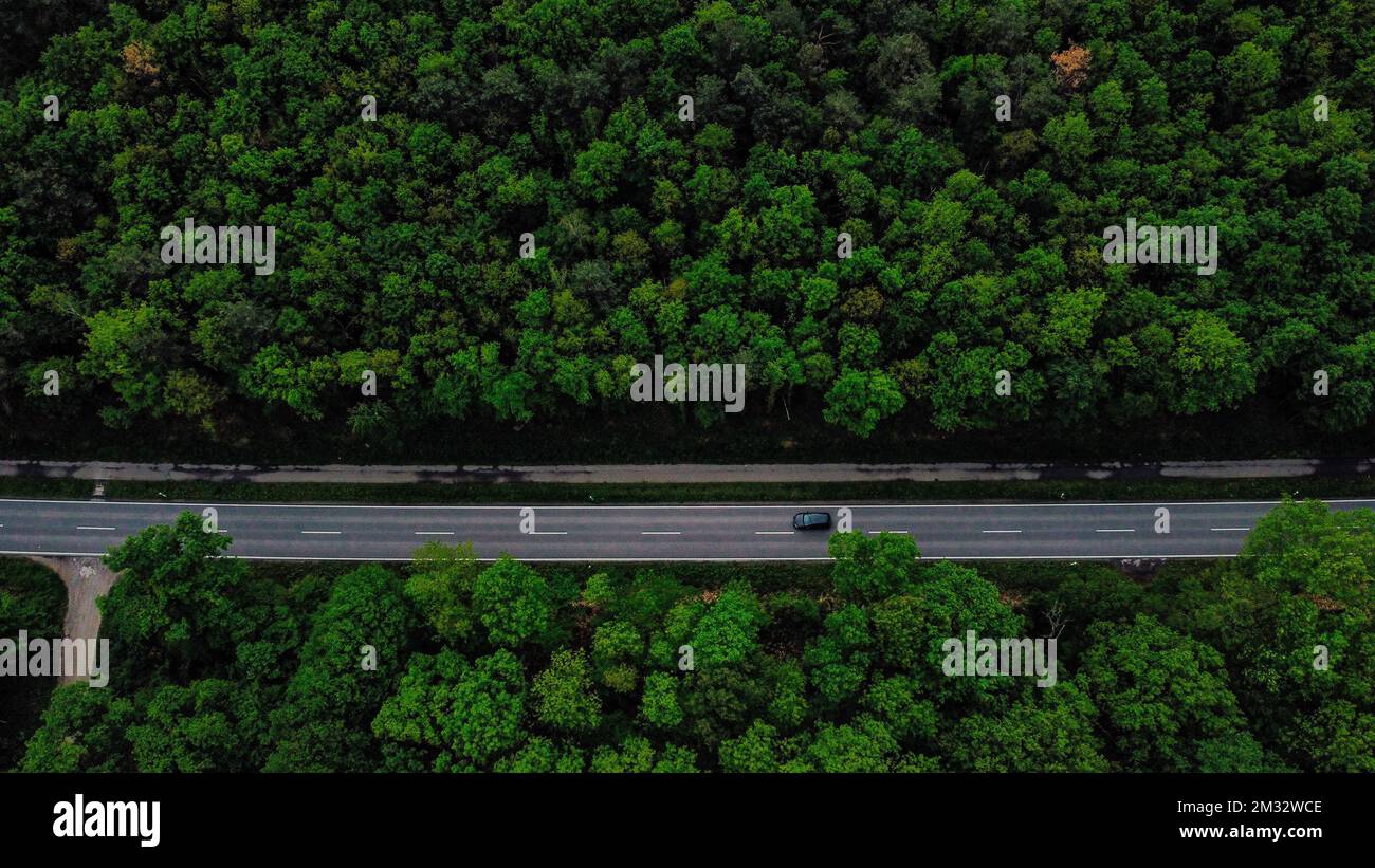 An aerial view of a highway surrounded with forest trees Stock Photo ...