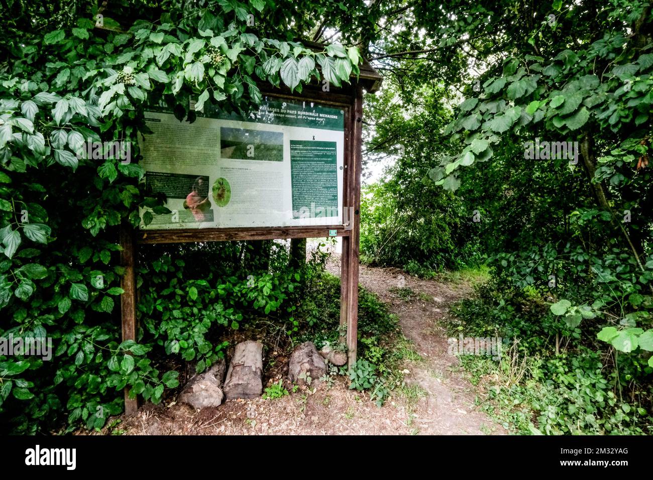 Illustration picture shows the Mehaigne Burdinale natural park in Burdinne, Sunday 26 July 2020. BELGA PHOTO BRUNO FAHY Stock Photo