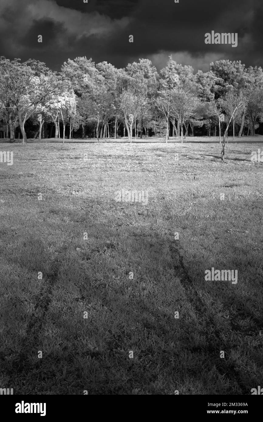 Black and white landscape scenery Stock Photo Alamy