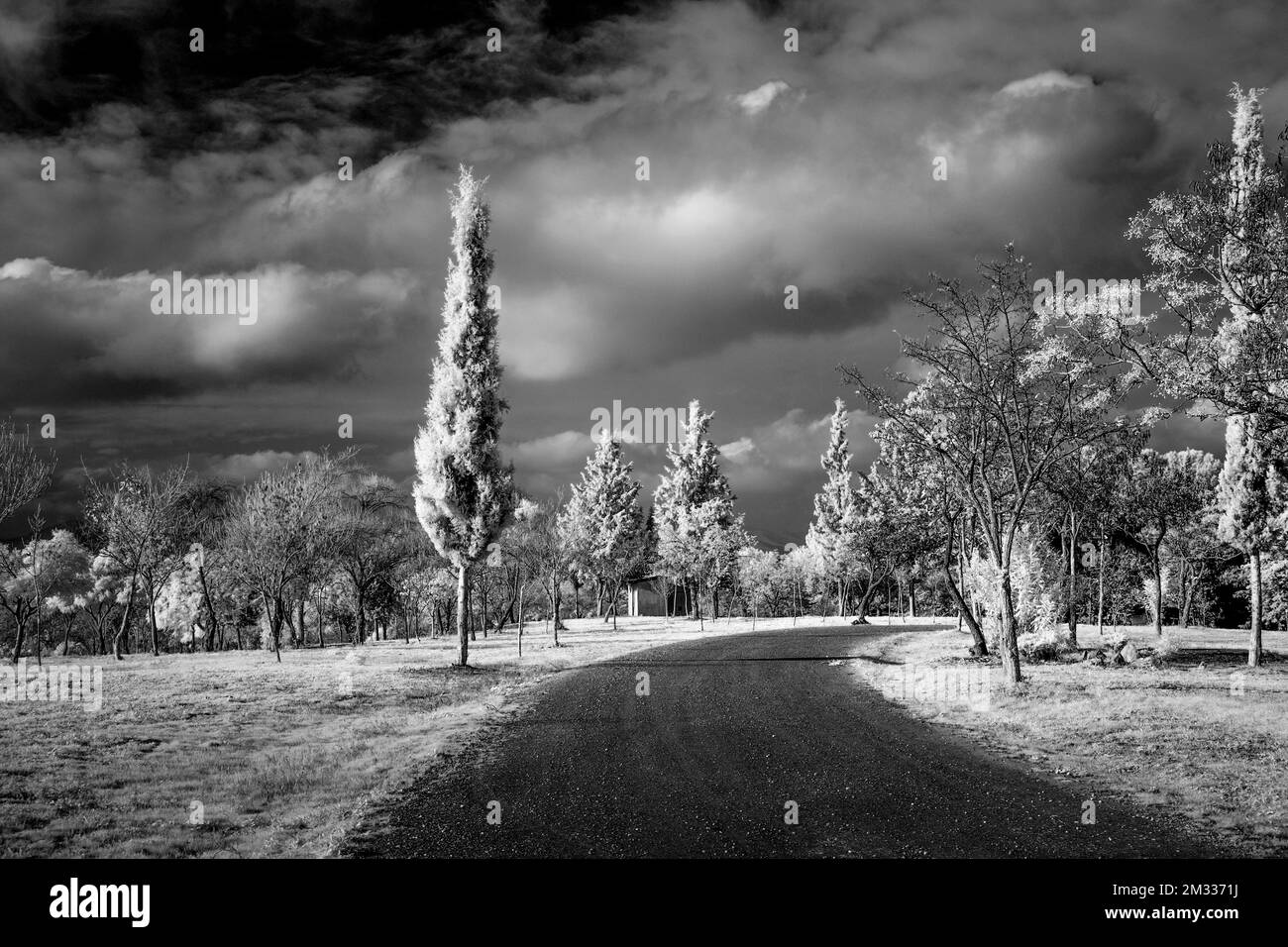 Black and white landscape scenery Stock Photo Alamy