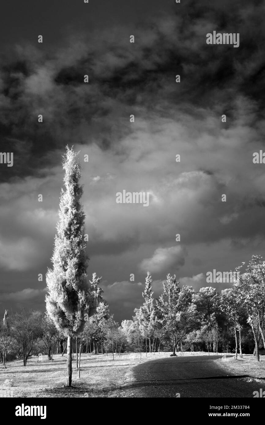 Black and white landscape scenery Stock Photo Alamy