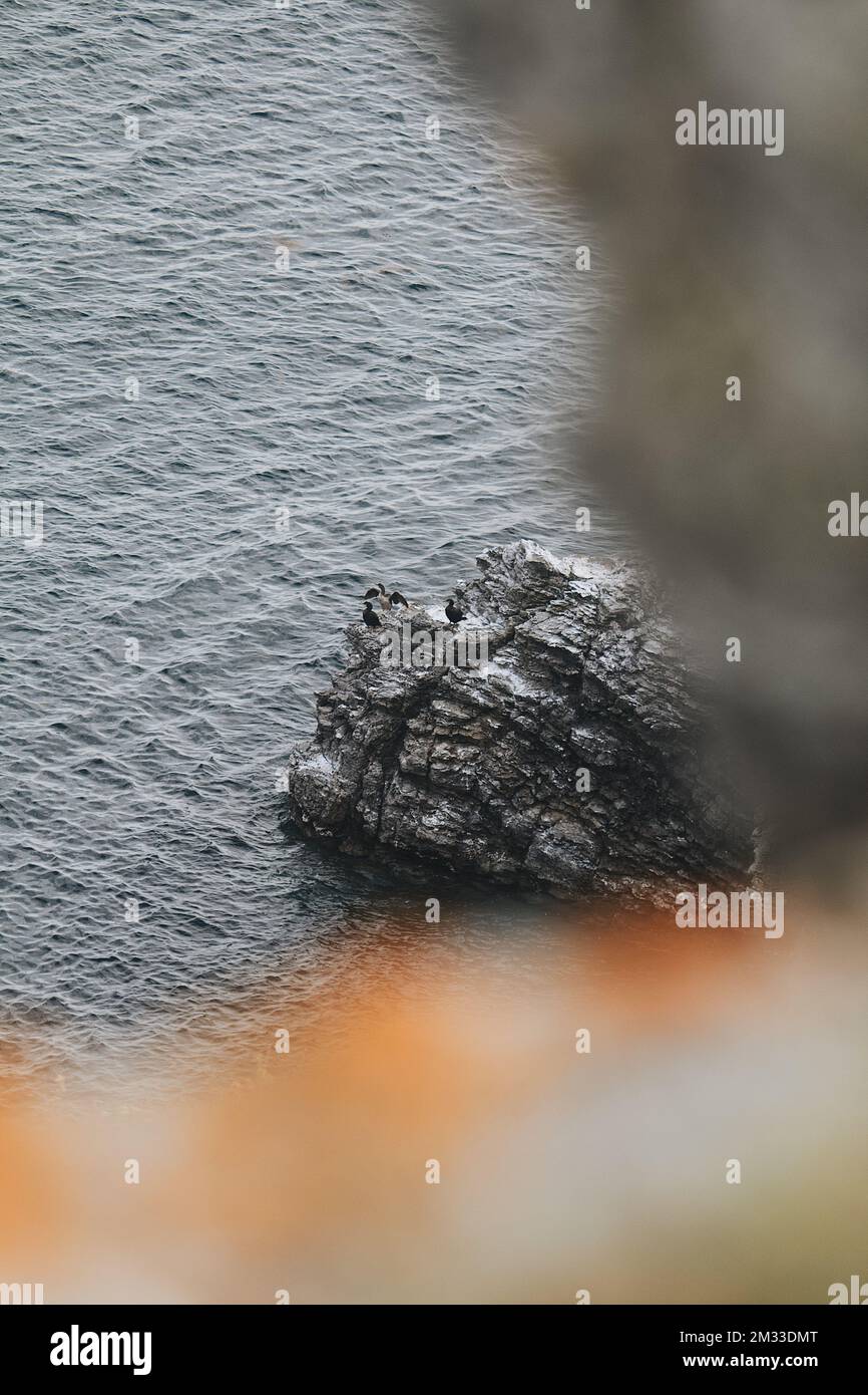 A vertical shot of a rock at the shore Stock Photo - Alamy