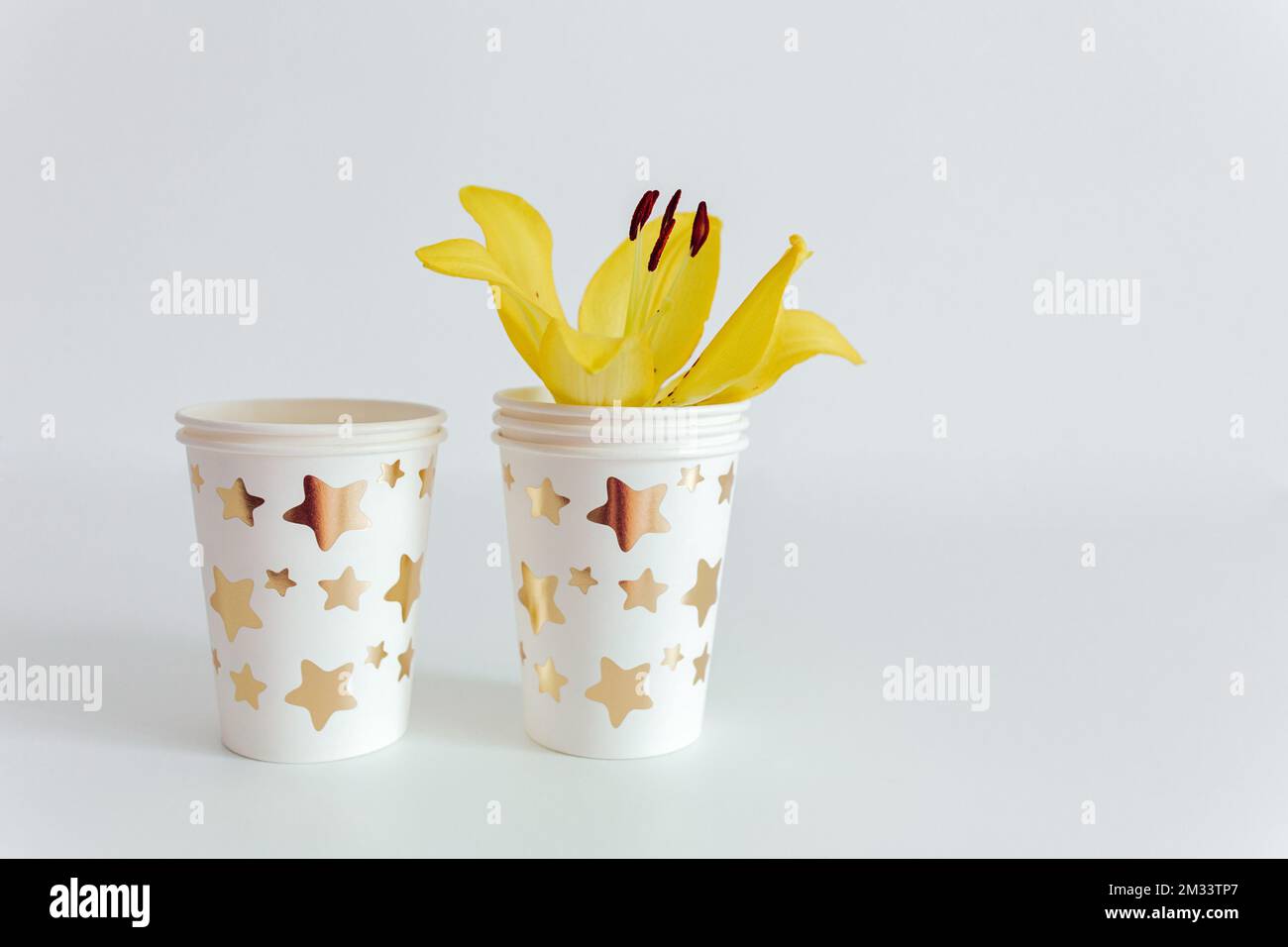 White paper disposable cup. Eco friendly concept. Paper dishware for party. White background. Stock Photo