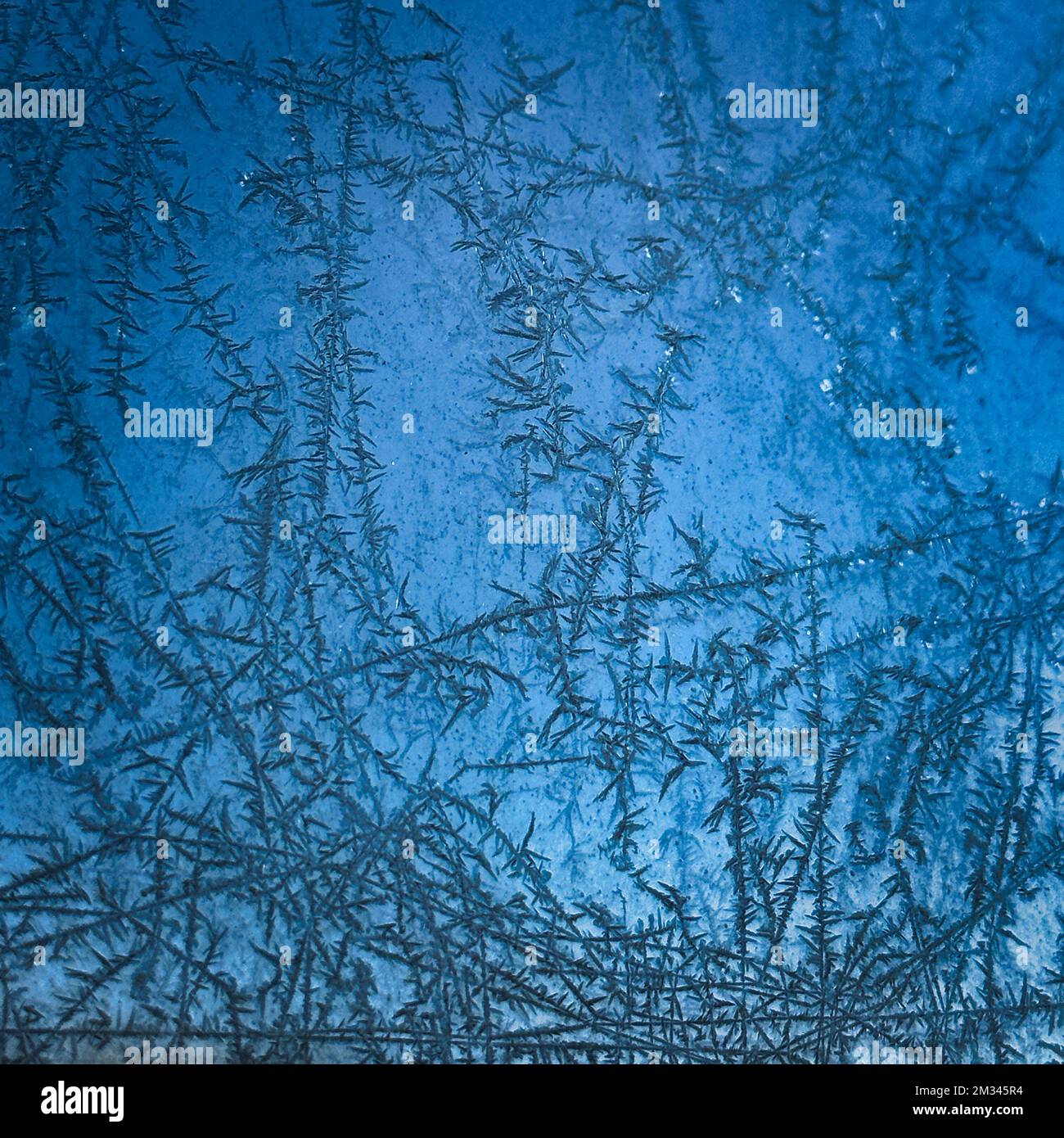 Frosted panel hi-res stock photography and images - Alamy