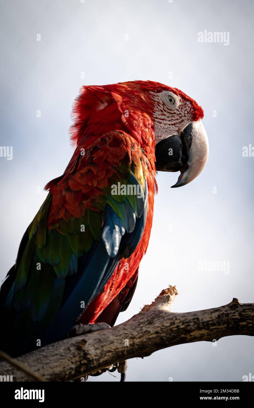 Gallery image with a fresh perspective