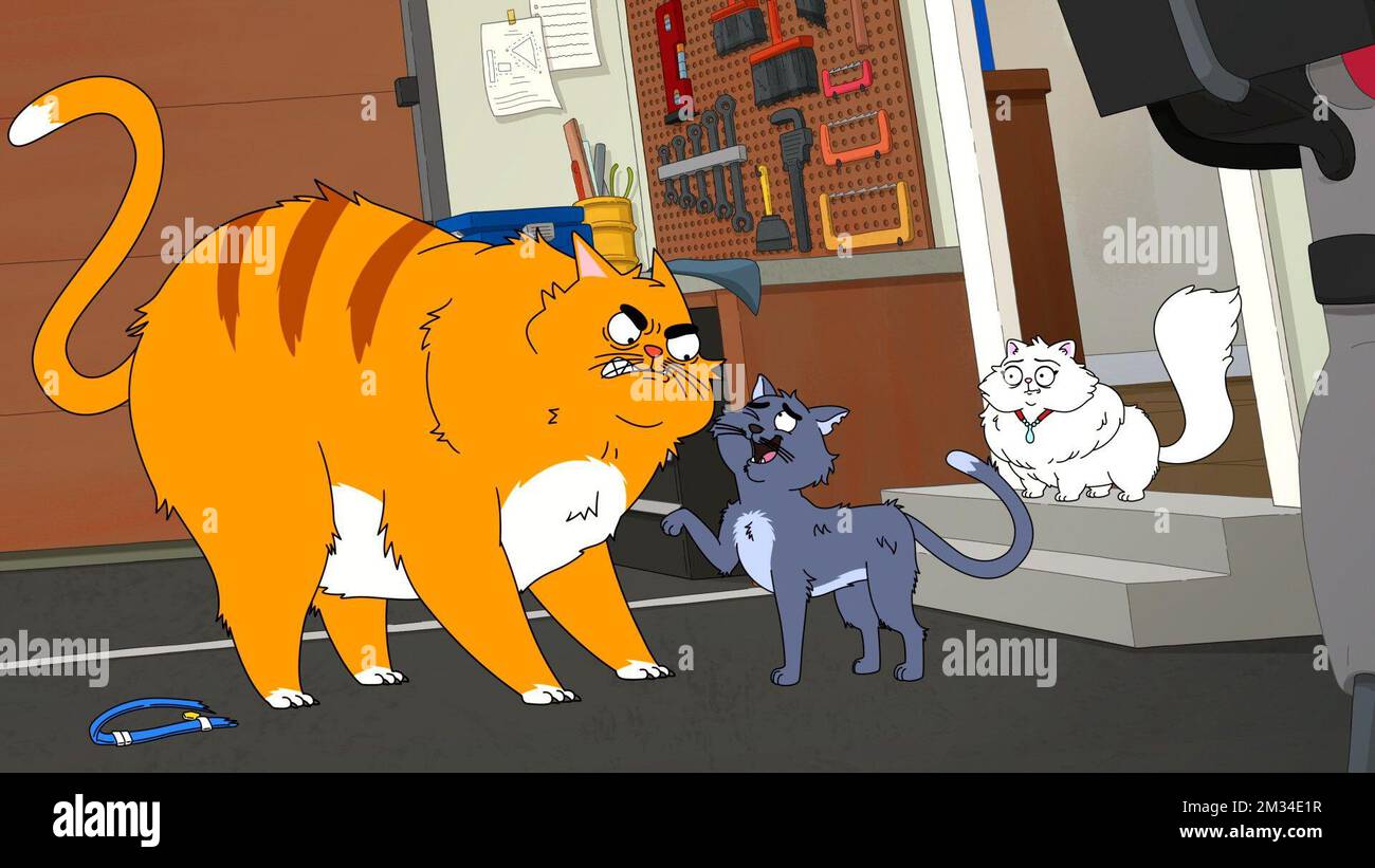 HOUSEBROKEN, from left: Honey (voice: Lisa Kudrow), Max (voice: Tony Hale),  Who's a Scaredy Cat?, (Season 2, ep. 204, aired Apr. 2, 2023). photo: ©Fox  / Courtesy Everett Collection Stock Photo - Alamy