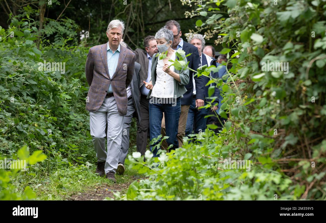 King Philippe - Filip of Belgium pictured during a visit of Belgian King to the natural reserve Vogelzang and an agriculture test space in Anderlecht, Tuesday 06 July 2021. BELGA PHOTO BENOIT DOPPAGNE Stock Photo