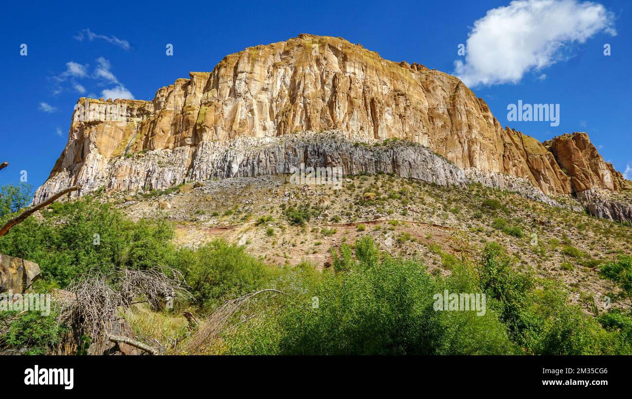 Scenery and wildlife shot in Aravaipa Canyon Wilderness Area in Southern Arizona Stock Photo