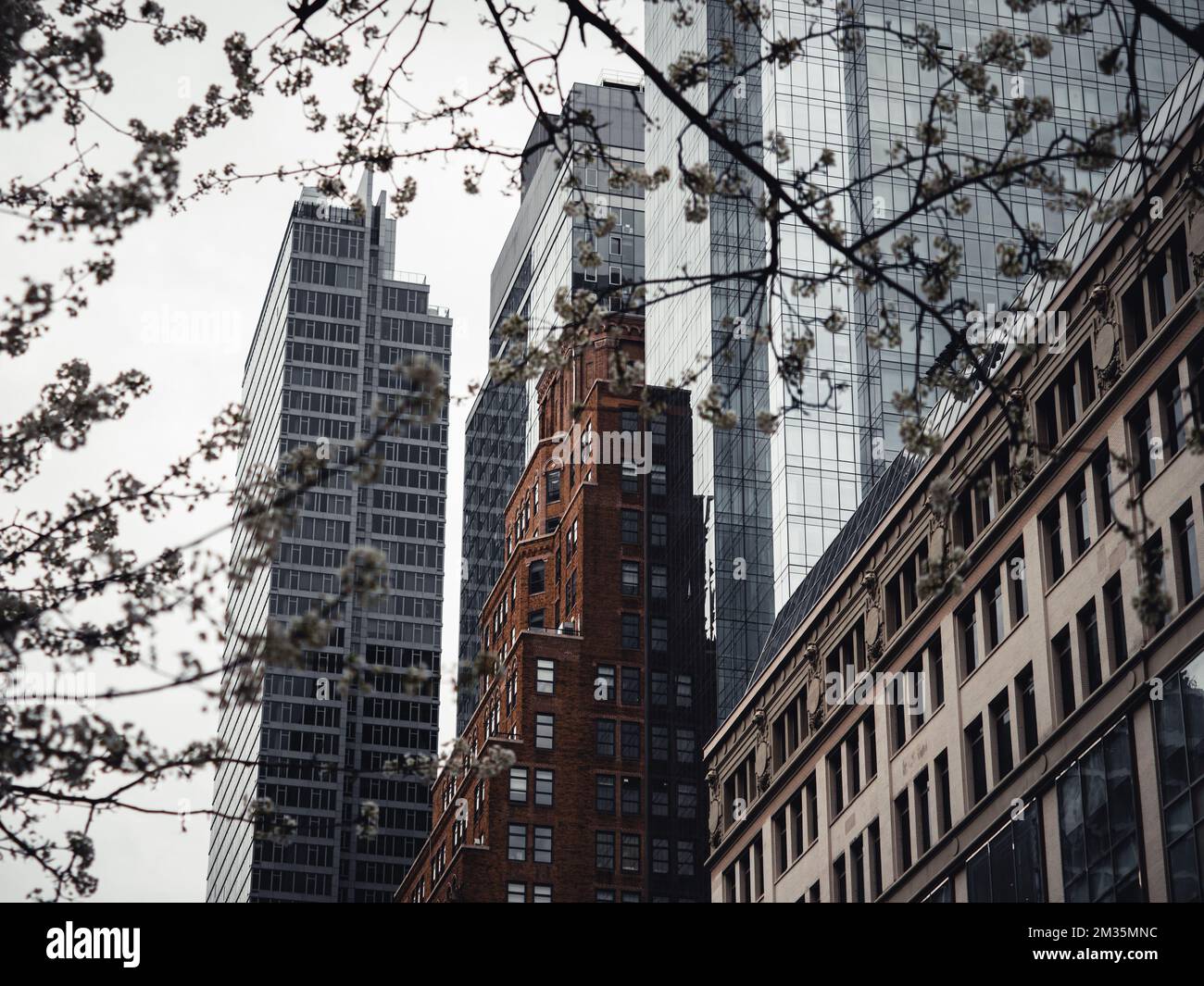 Tall downtown skyscrapers hi-res stock photography and images - Alamy