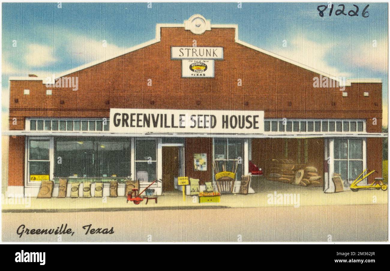 Greenville Seed House, Greenville, Texas , Commercial facilities, Tichnor Brothers Collection, postcards of the United States Stock Photo