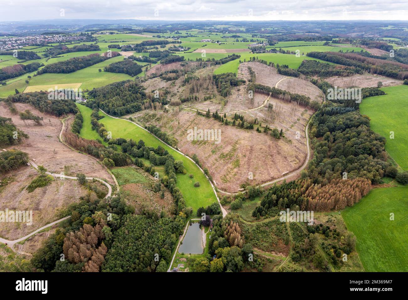 Aerial view, forest damage at the fishing ponds Angelparadies