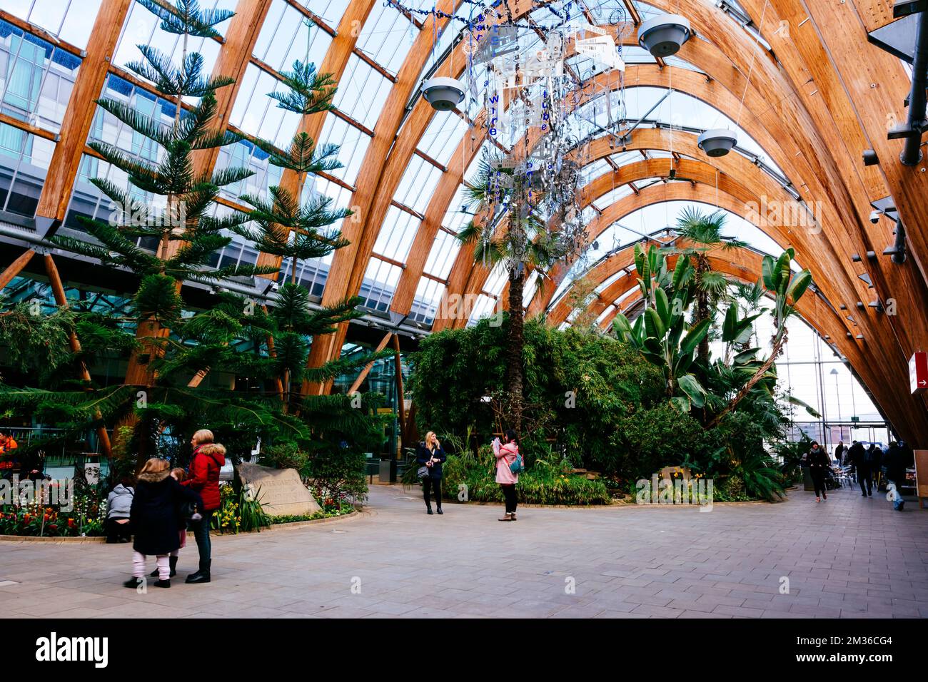 Sheffield Winter Garden is one of the largest temperate glasshouses to be built in the UK during the last hundred years, and the largest urban glassho Stock Photo