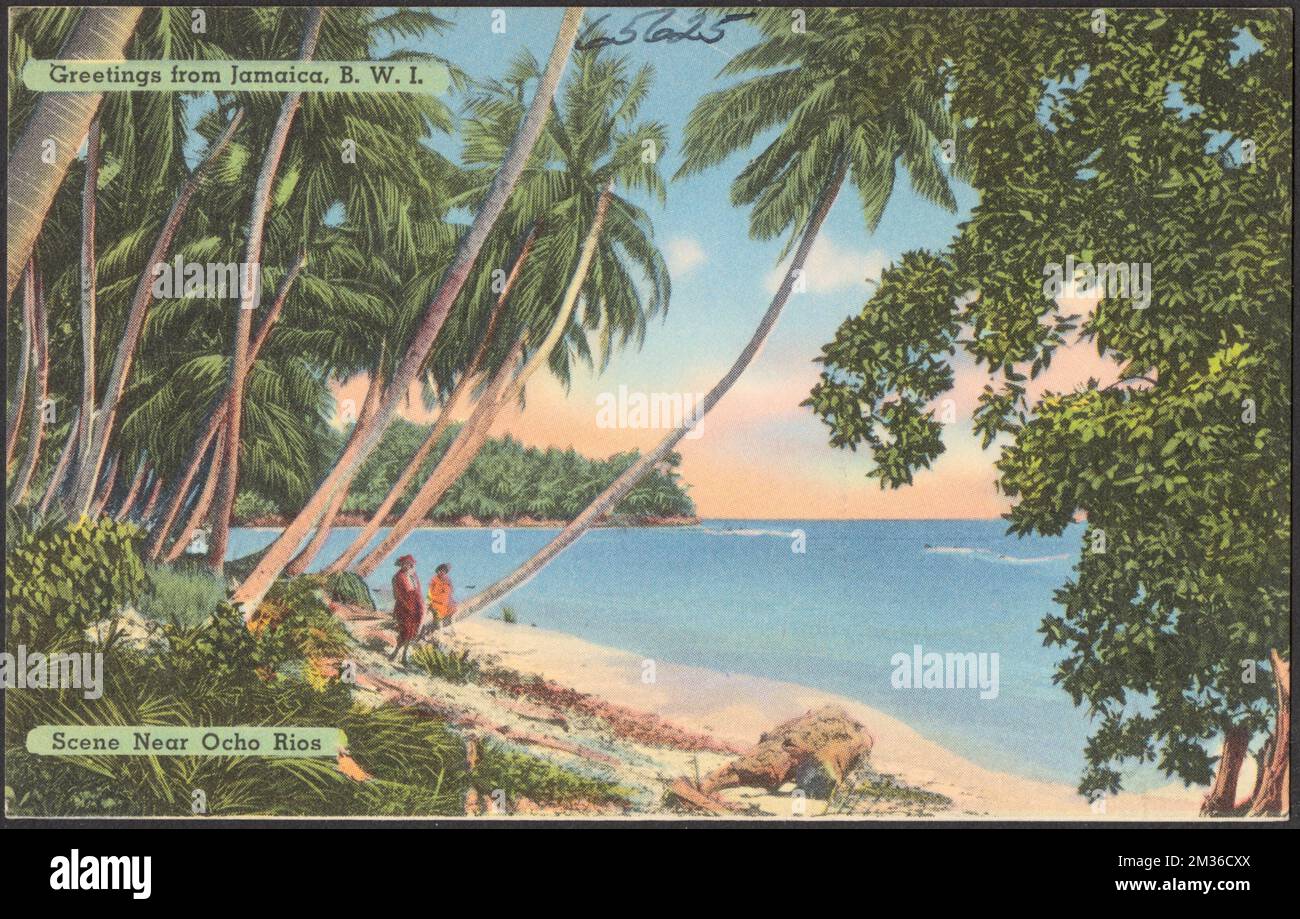 Jamaica tropical vegetation near hi-res stock photography and images ...