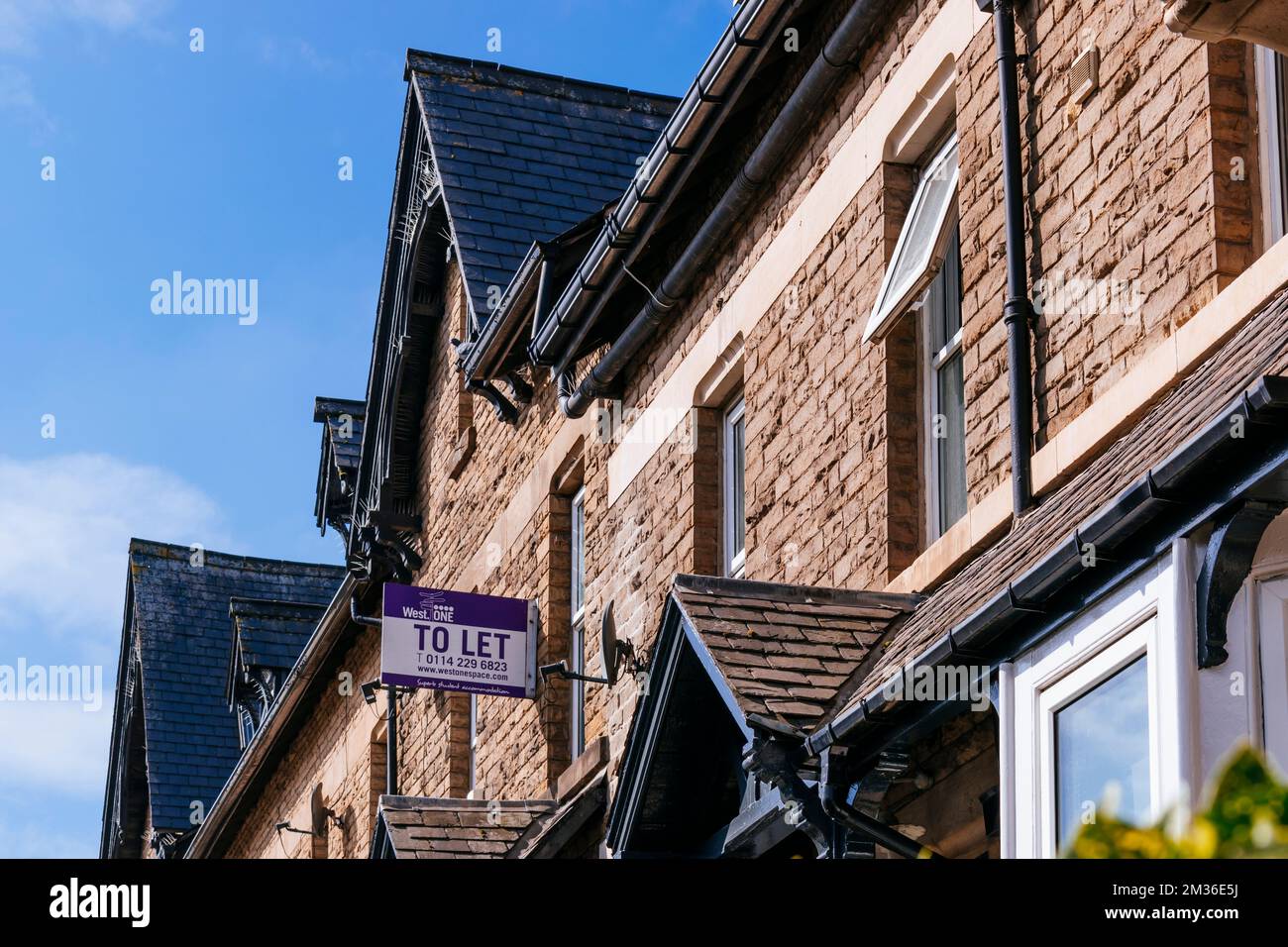 Estate agents signs outside let properties in Sheffield, close to the