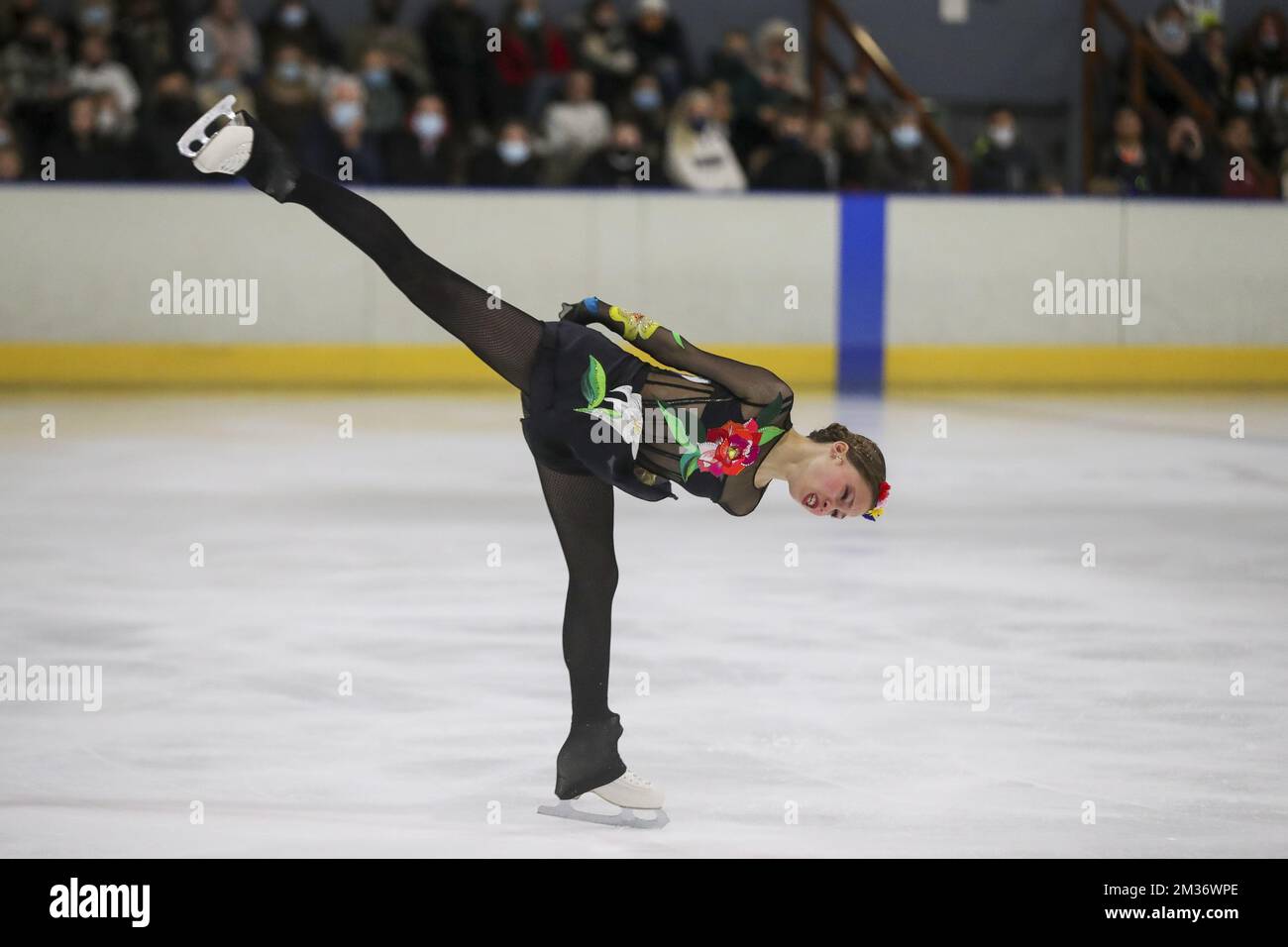 Belgian skater hi-res stock photography and images - Page 2 - Alamy