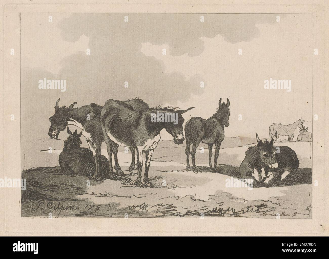 Donkeys posture hi-res stock photography and images - Alamy