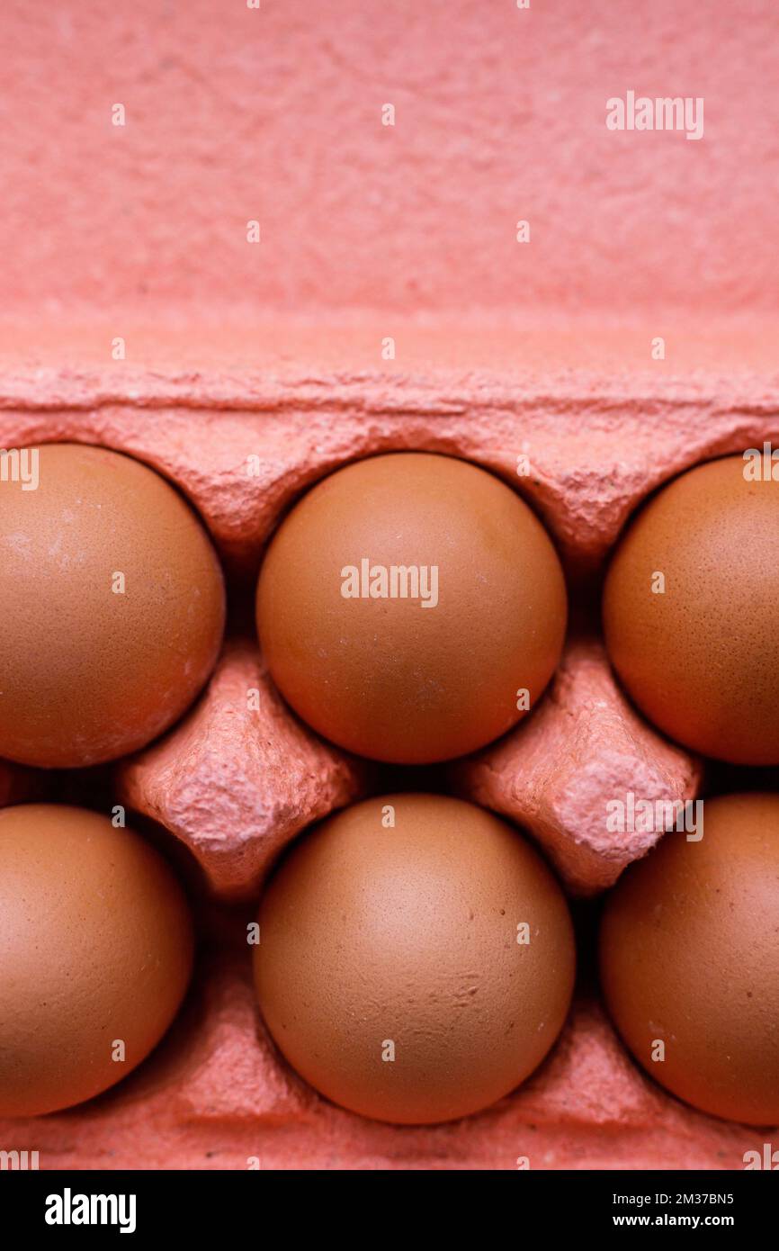 Open egg box with ten brown eggs close up view. Fresh organic chicken eggs in carton pack or egg container Stock Photo