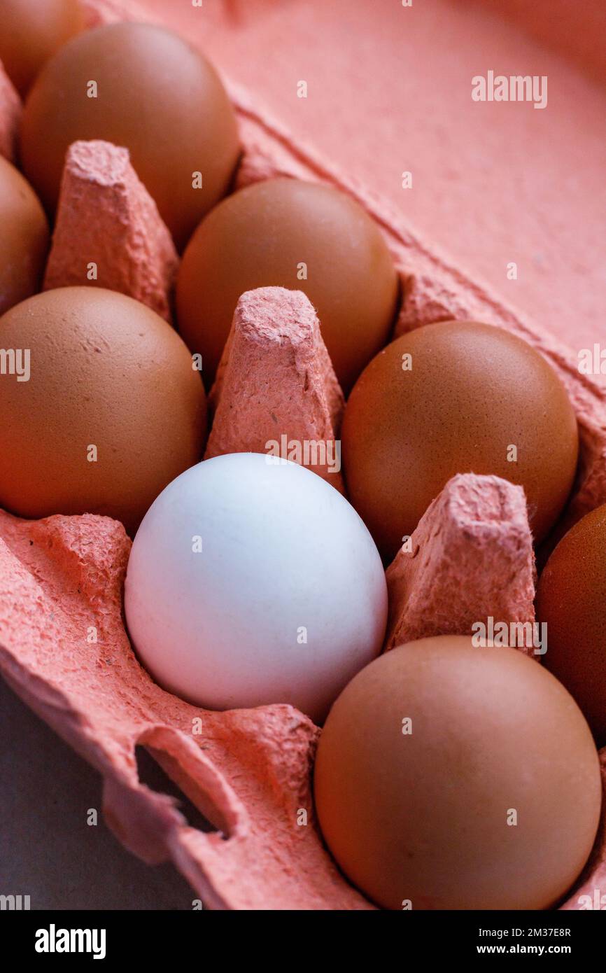 Open egg box with ten brown eggs close up view. Fresh organic chicken eggs in carton pack or egg