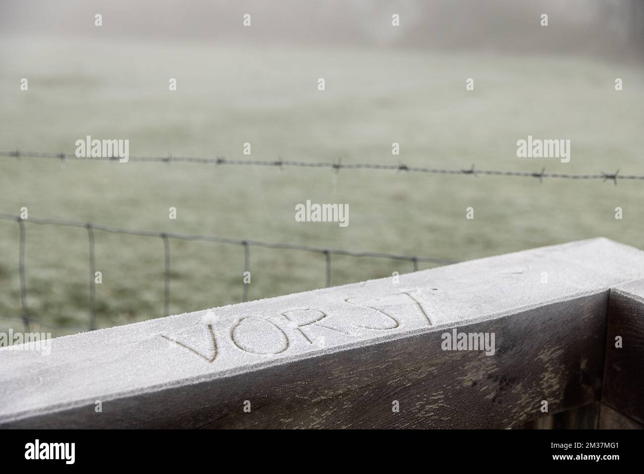 Illustration picture shows the word Vorst (Dutch Frost) written in