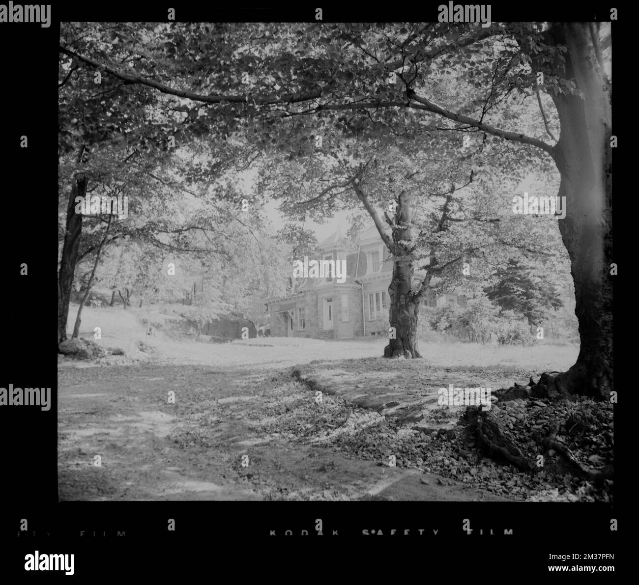 Hagop Yaghsizian 174 Forest Hills St. Ja2-3518 , Houses, Trees. Leon