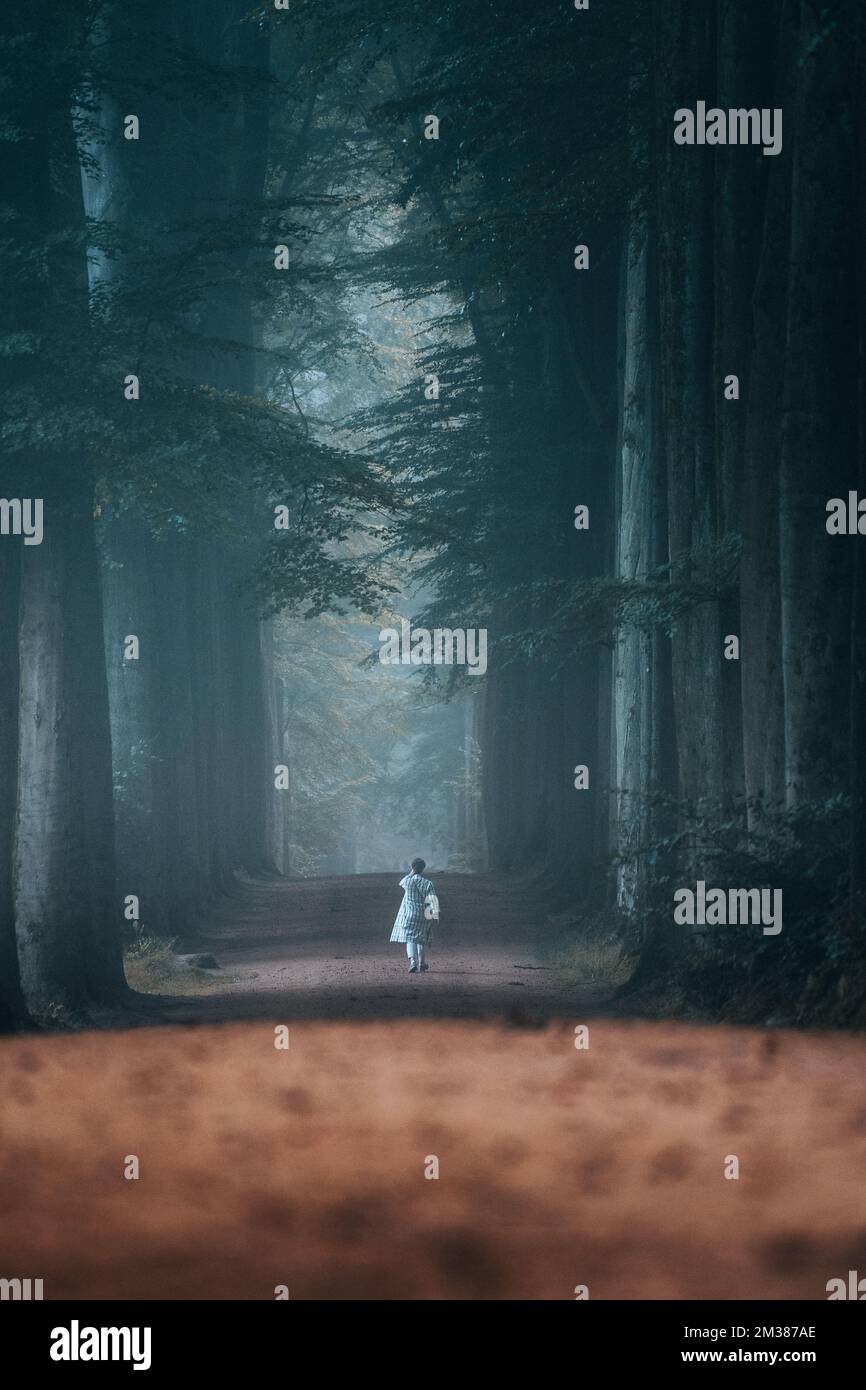 A rear view of a female walking on a road surrounded by tall trees ...