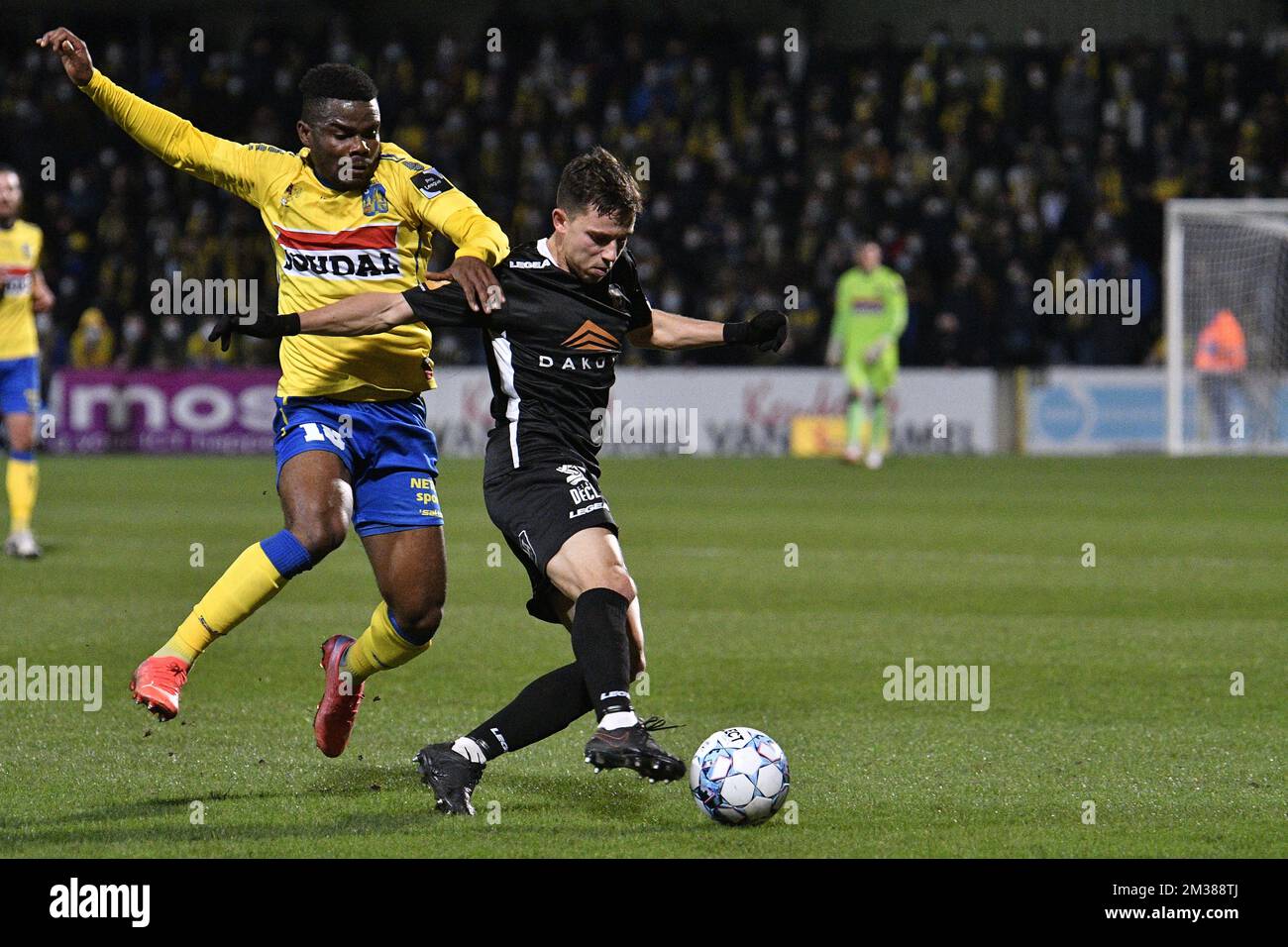 Westerlo's Kouya Mabea and Deinze's Gaetan Hendrickx fight for the ball during a soccer match between KVC Westerlo and KMSK Deinze, Wednesday 09 February 2022 in Westerlo, a postponed match of day 17 of the '1B Pro League' second division of the Belgian soccer championship. BELGA PHOTO JOHAN EYCKENS Stock Photo