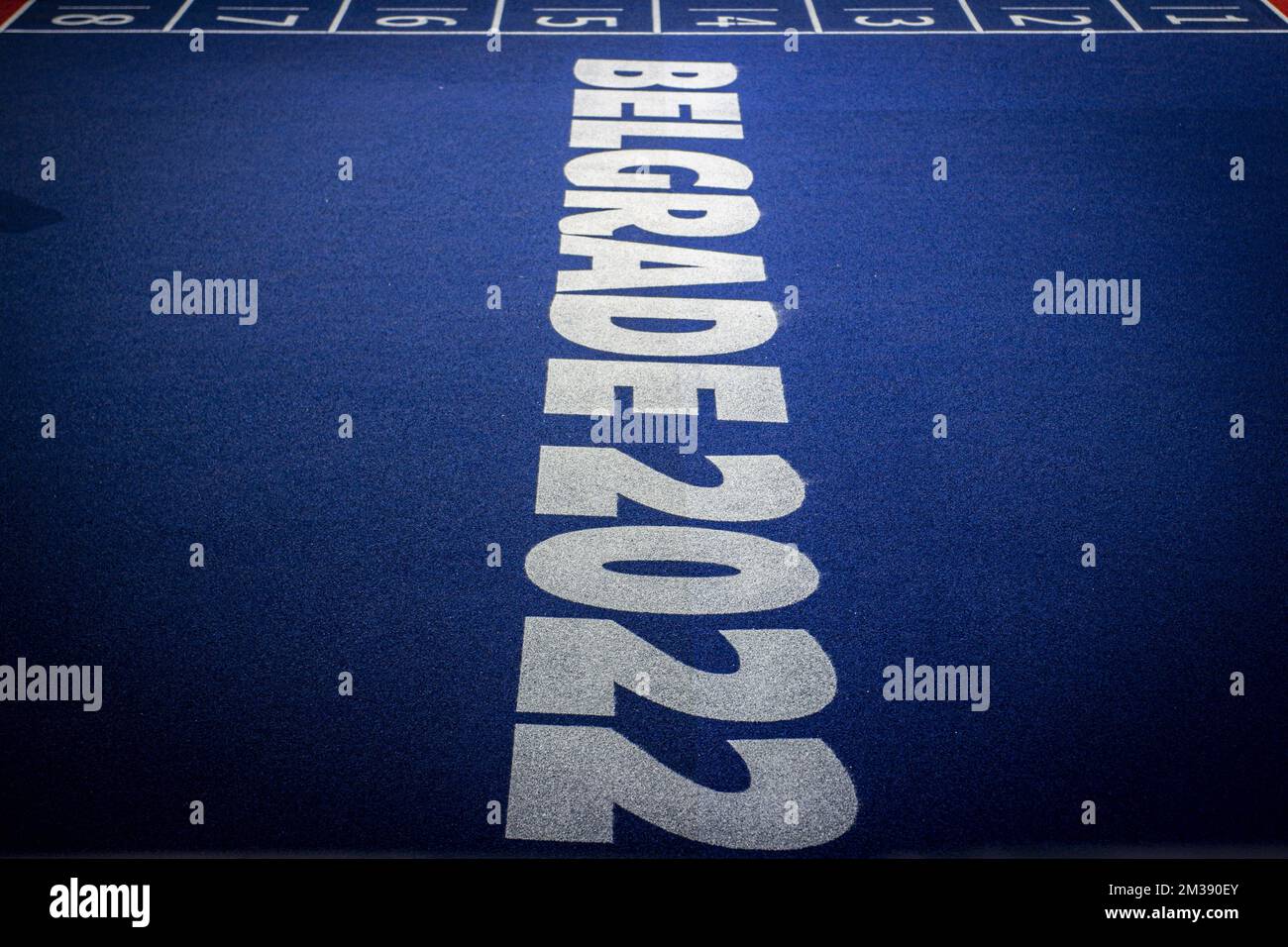 Illustration picture shows the inside of the Stark Arena ahead of the ...