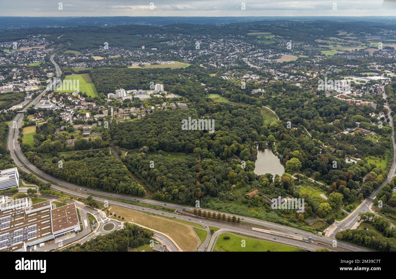Aerial view, Rombergpark with lake in Hörde district in Dortmund, Ruhr area, North Rhine-Westphalia, Germany, DE, Dortmund, Europe, Recreational Area, Stock Photo