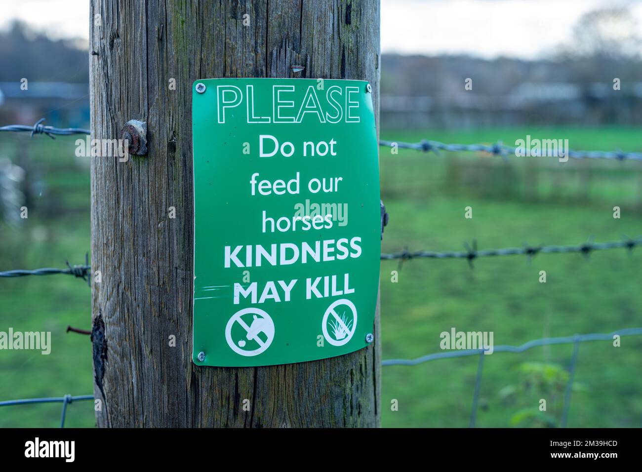 Green sign on fencepost warning people to not feed horses due to choking hazards, England, UK Stock Photo