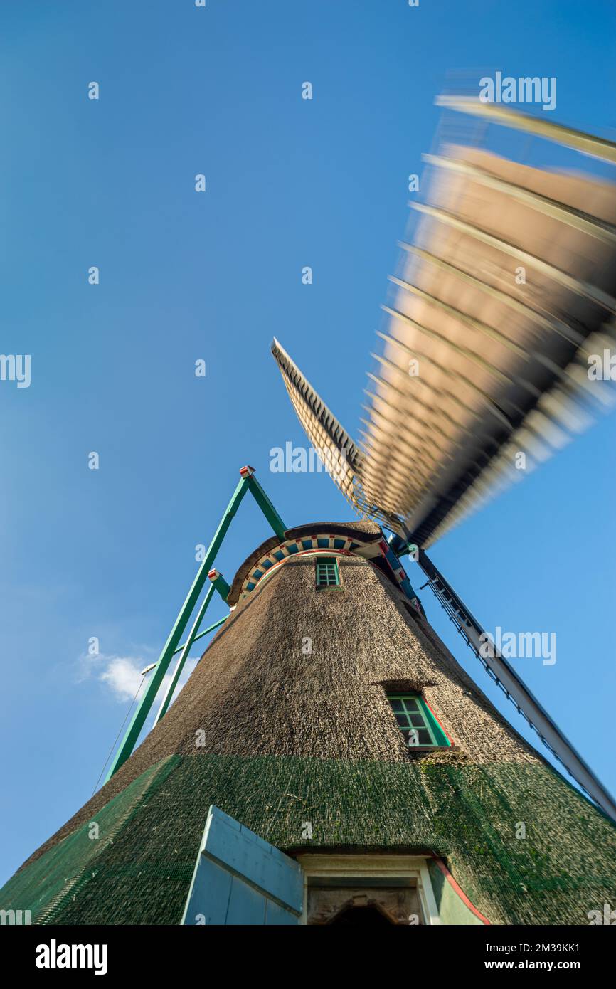 Dutch Windmill in rotation. Traditional windmill viewed at a wide angle ...