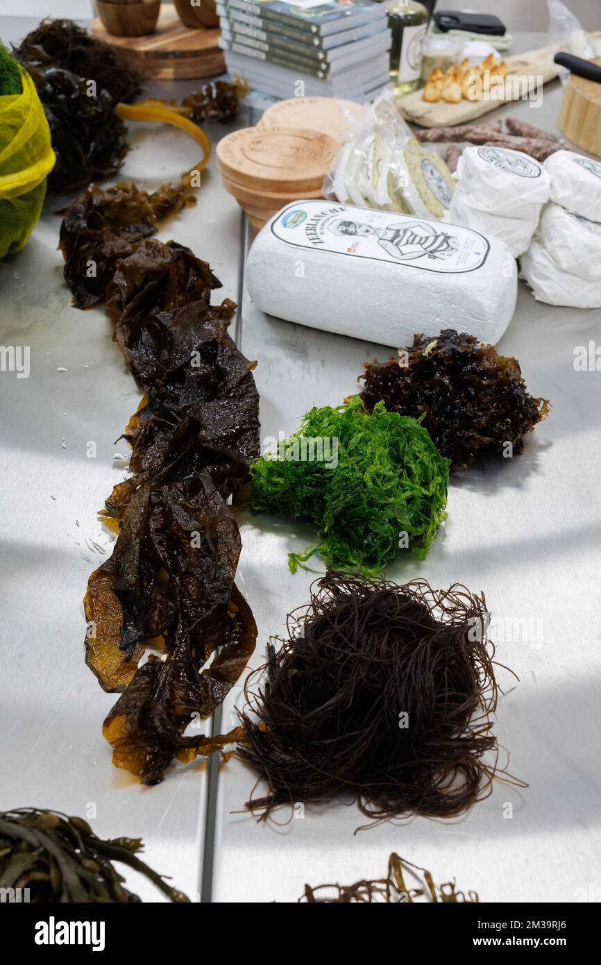 Seaweed based food products pictured at the launch of the first 'algae month' to promote seaweed as a source of protein, in Oostende, Saturday 30 April 2022. BELGA PHOTO KURT DESPLENTER Stock Photo