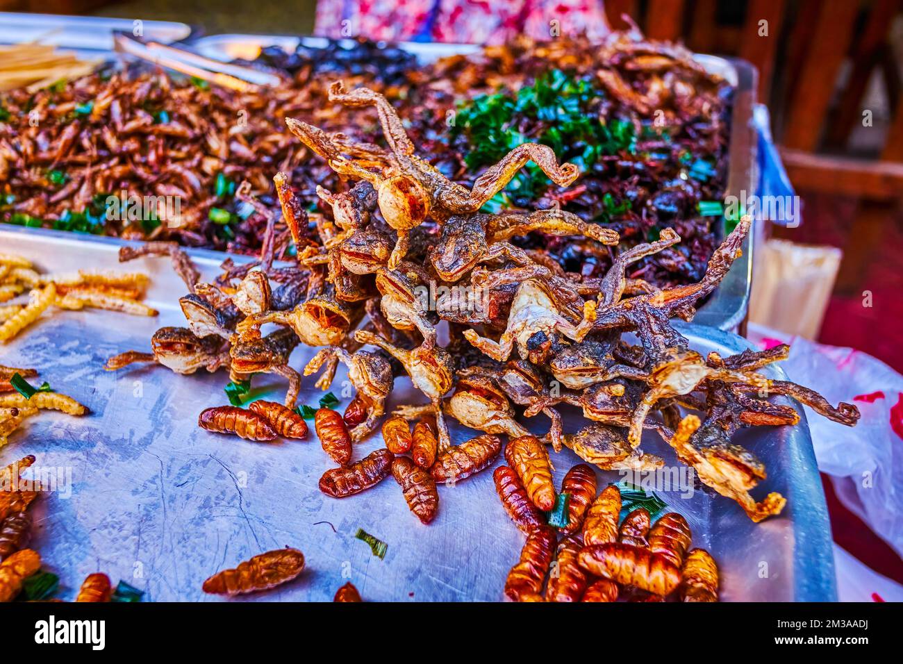 Extreme snacks of Thailand, grilled larvas and frogs on Chinatown's
