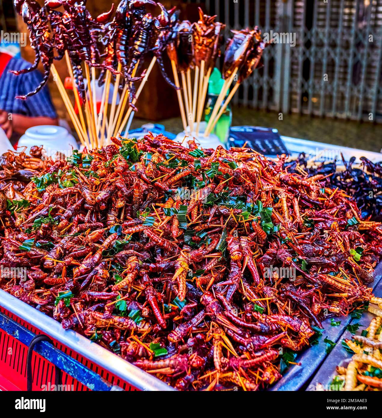 Extreme snacks of Thailand, the heap of grilled insects, scorpions and