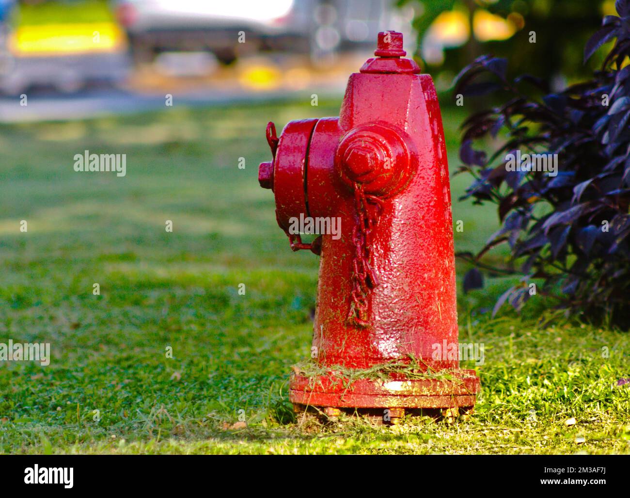 fire hydrant, red, on grass Stock Photo Alamy